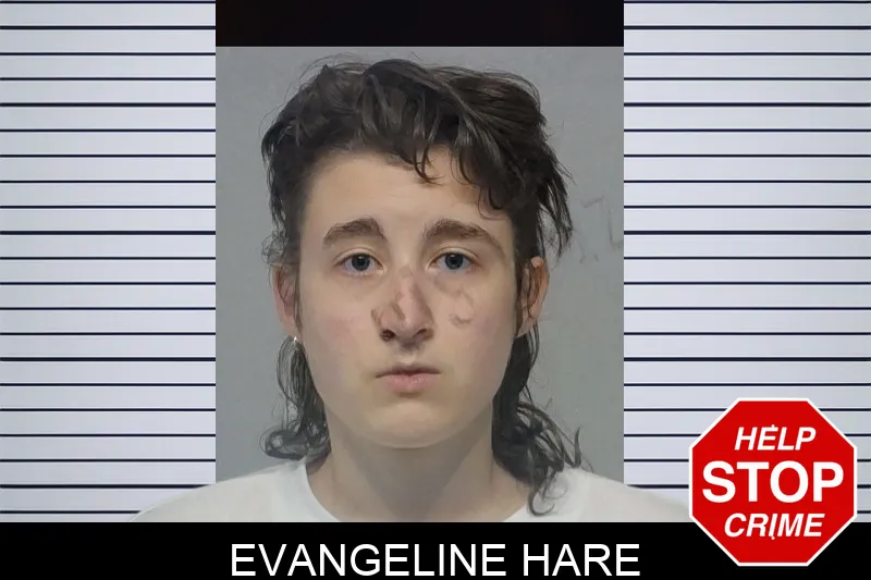 Evangeline Hare Mugshots