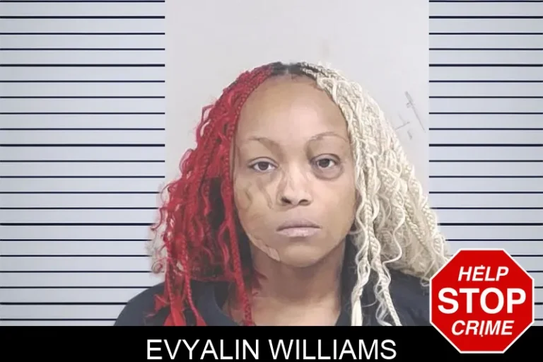 Evyalin Williams mugshot – Lowndes County , Georgia Evyalin Williams