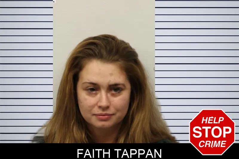 Faith Tappan mugshot – Chatham County , Georgia Faith Tappan mugshot