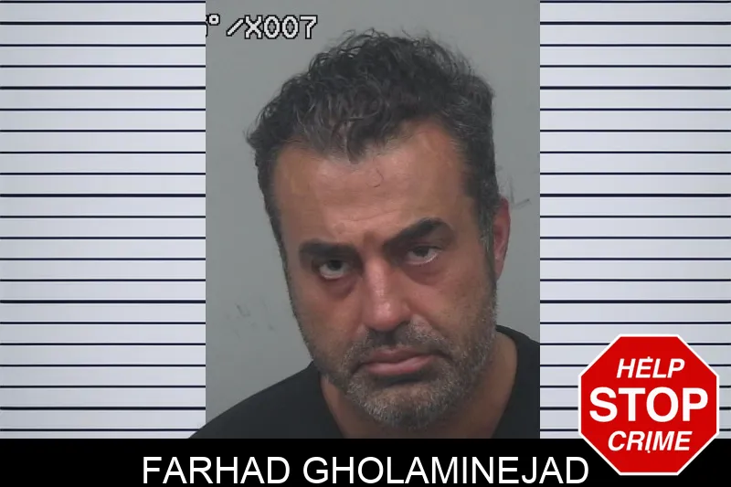 Farhad Gholaminejad mugshot – Gwinnett County , Georgia Farhad Gholaminejad mugshot