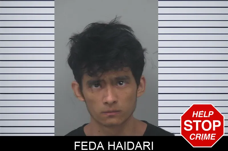 Feda Haidari Mugshots