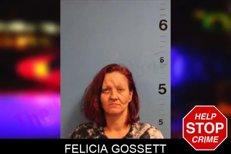 Felicia Gossett mugshot – Monroe County , Georgia Felicia Gossett