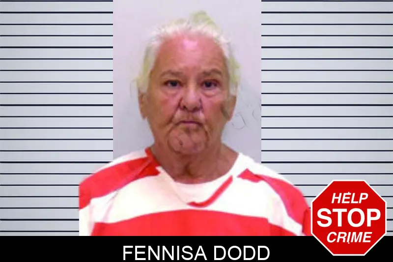Fennisa Dodd mugshot – Bartow County , Georgia Fennisa Dodd mugshot