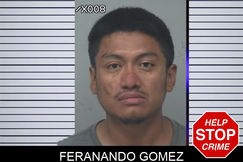 Feranando Gomez mugshot