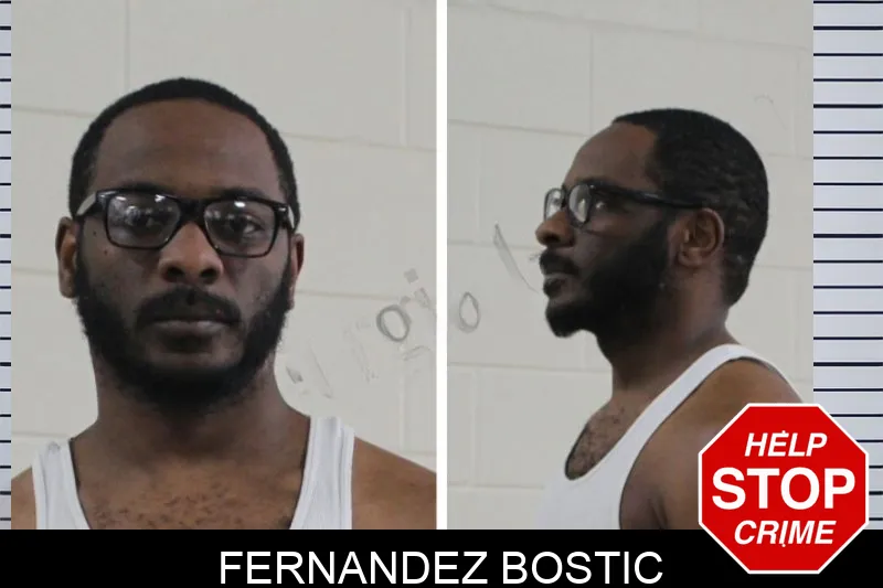 Fernandez Bostic mugshot – Houston County , Georgia Fernandez Bostic mugshot