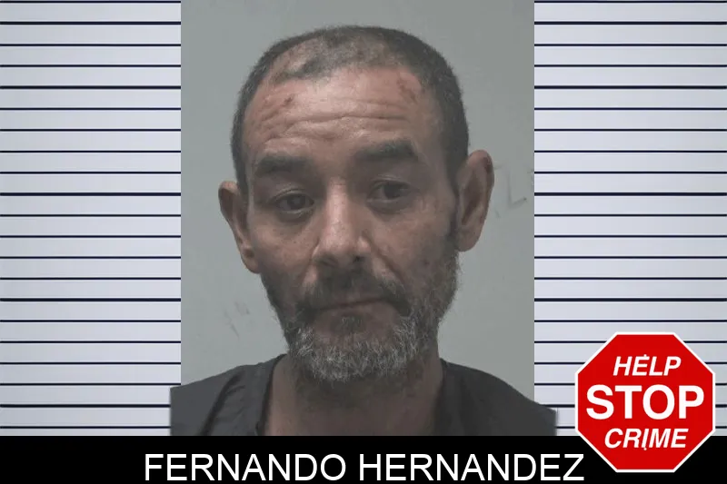 Fernando Hernandez