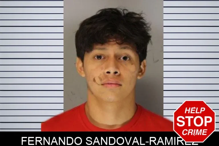 Fernando Sandoval-Ramirez mugshot – Hall County , Georgia Fernando Sandoval-Ramirez