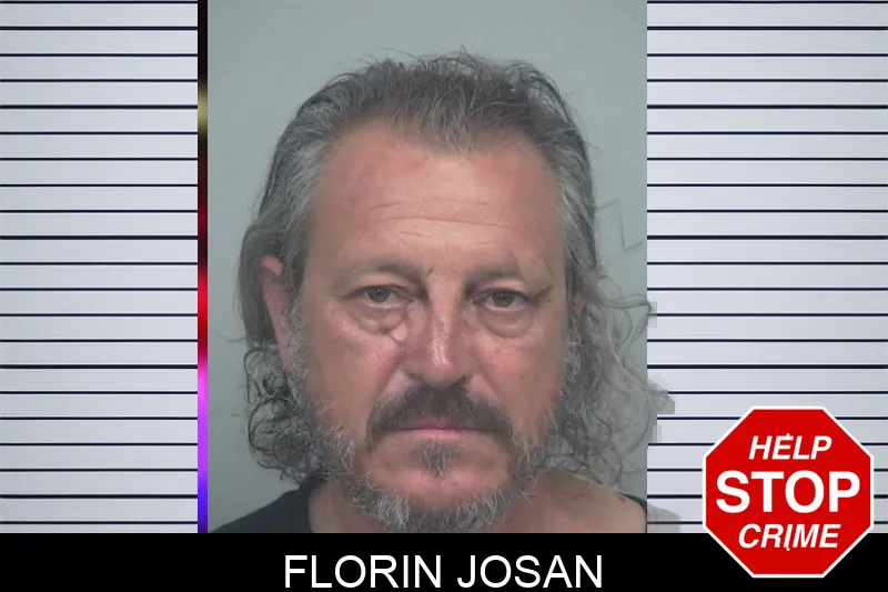 Florin Josan mugshot – Gwinnett County , Georgia Florin Josan mugshot