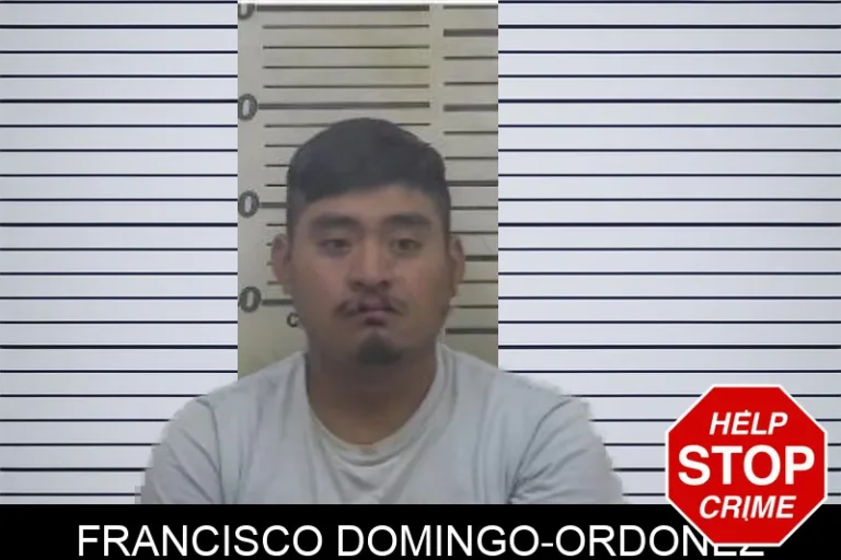 Francisco Domingo-Ordonez