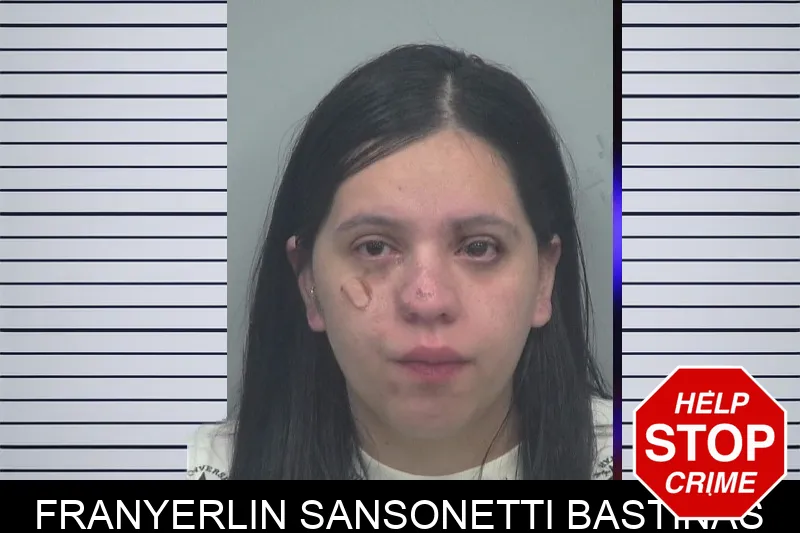 Franyerlin Sansonetti Bastinas Mugshots
