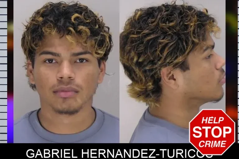 Gabriel Hernandez-Turicos