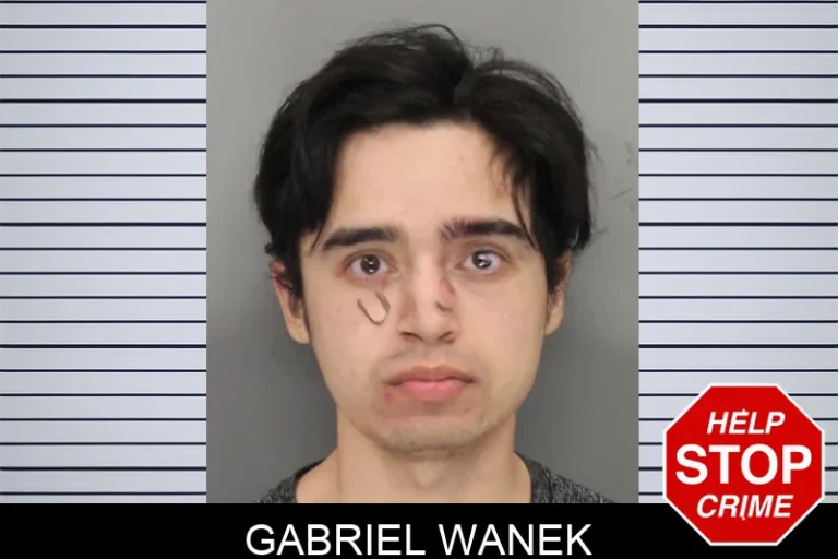 Gabriel Wanek mugshot – Cobb County , Georgia Gabriel Wanek