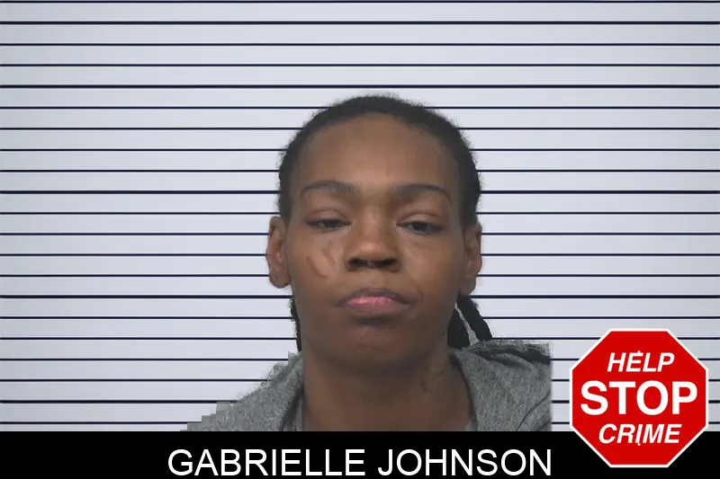 Gabrielle Johnson mugshot – Gwinnett County , Georgia Gabrielle Johnson mugshot
