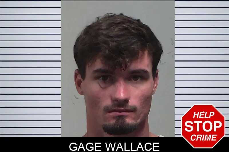 Gage Wallace Mugshots