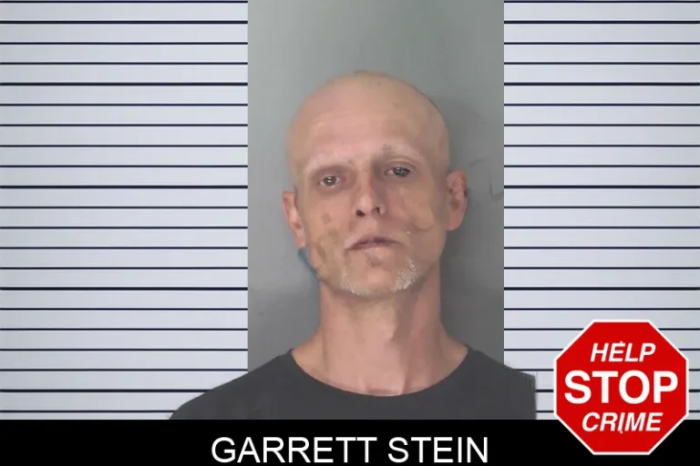 Garrett Stein