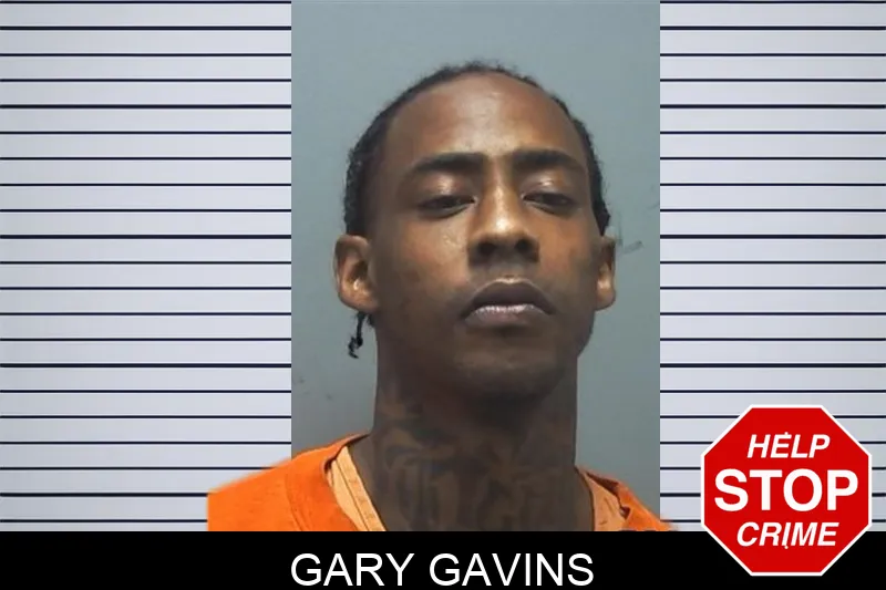Gary Gavins mugshot