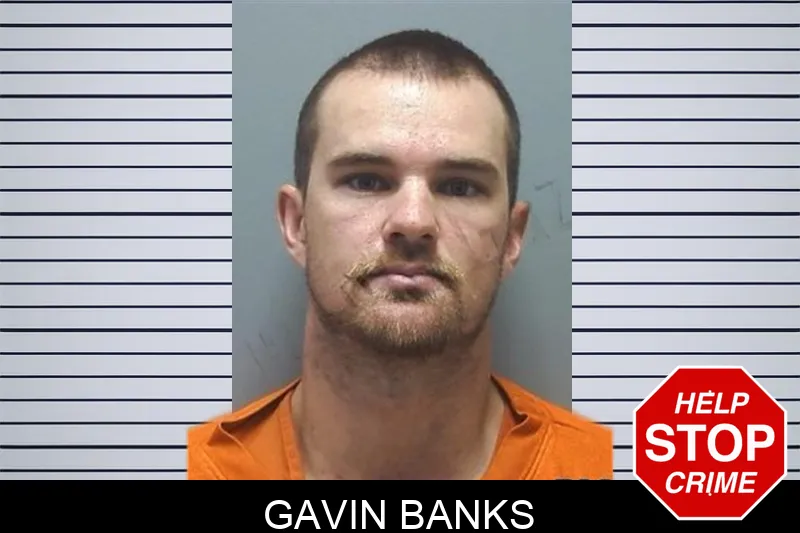 Gavin Banks mugshot