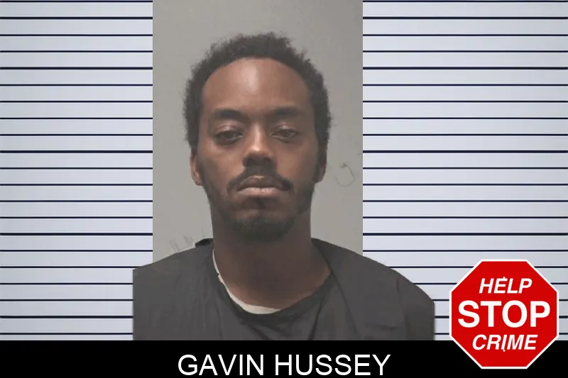 Gavin Hussey mugshot