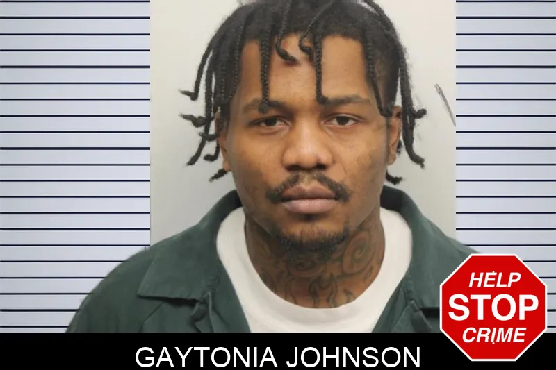 Gaytonia Johnson Mugshots