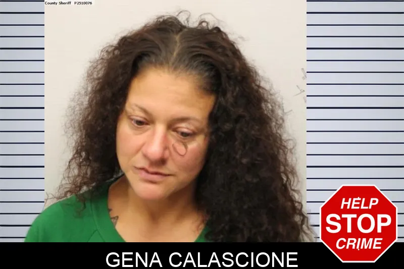Gena Calascione mugshot – Chatham County , Georgia Gena Calascione mugshot