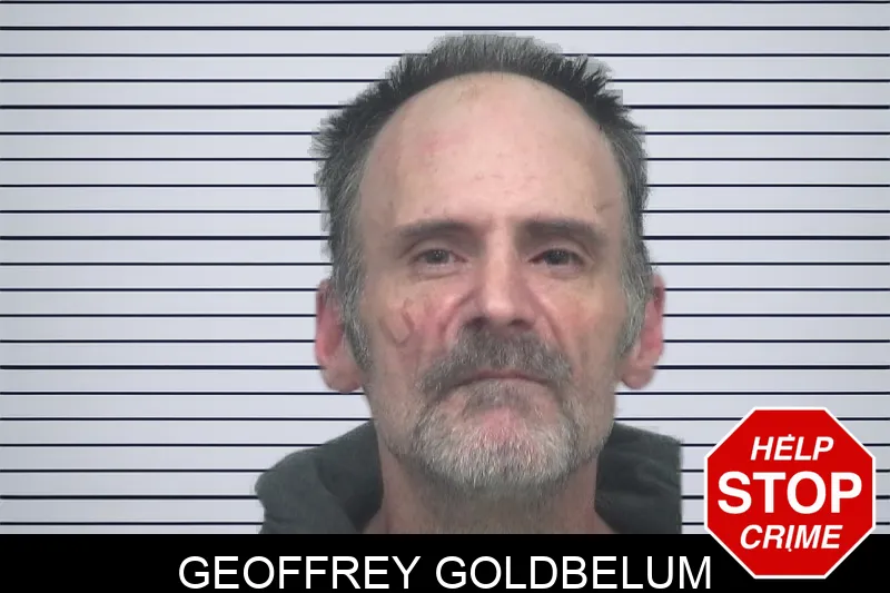 Geoffrey Goldbelum mugshot – Gwinnett County , Georgia Geoffrey Goldbelum mugshot