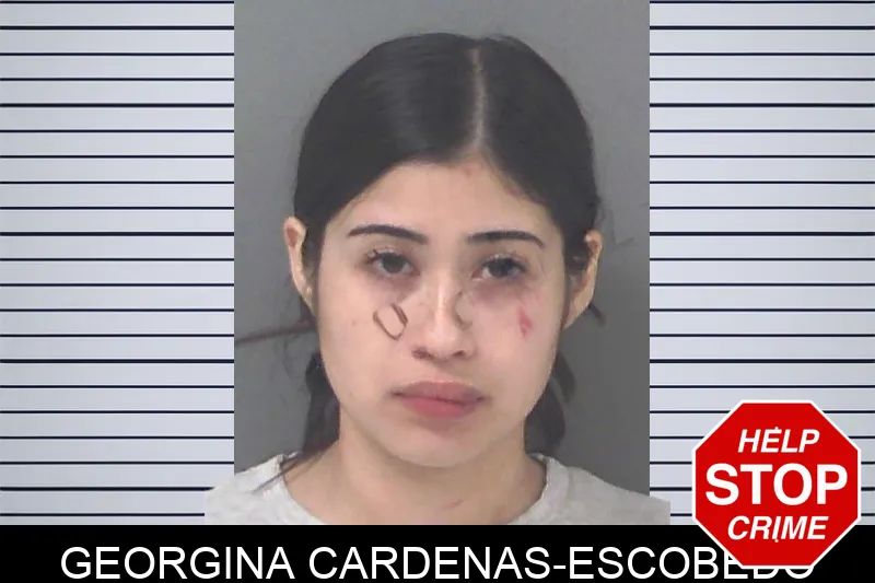 Georgina Cardenas-Escobedo Mugshots