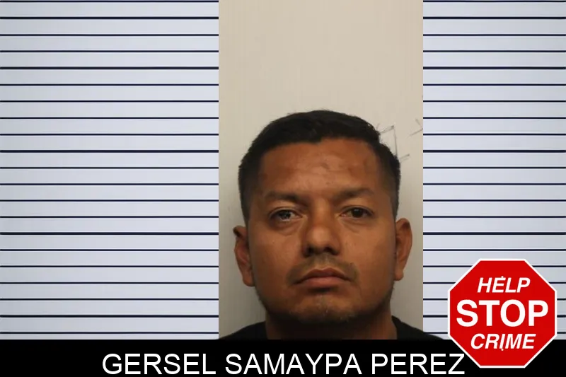 Gersel Samaypa Perez mugshot – Chatham County , Georgia Gersel Samaypa Perez mugshot