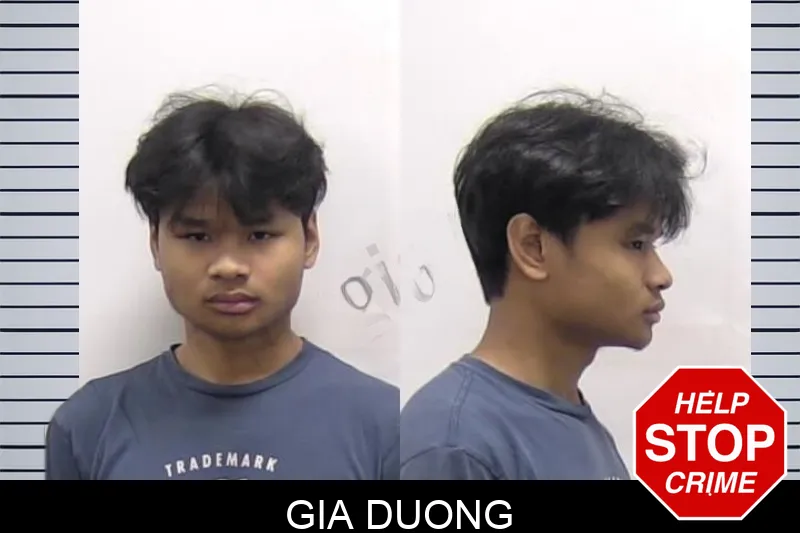 Gia Duong Mugshots