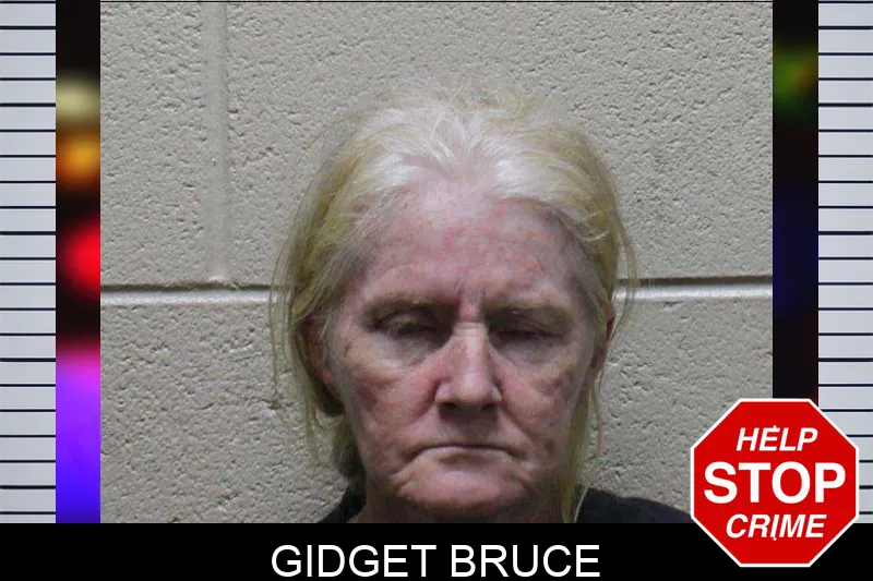Gidget Bruce
