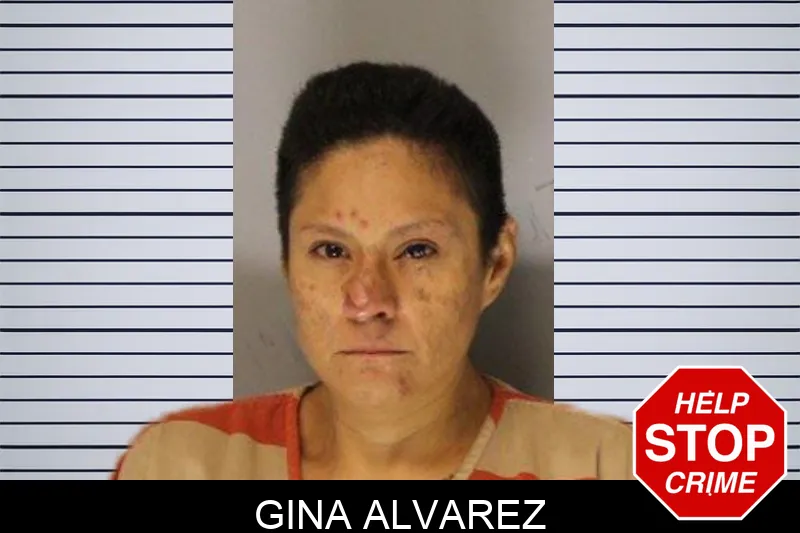 Gina Alvarez Mugshots