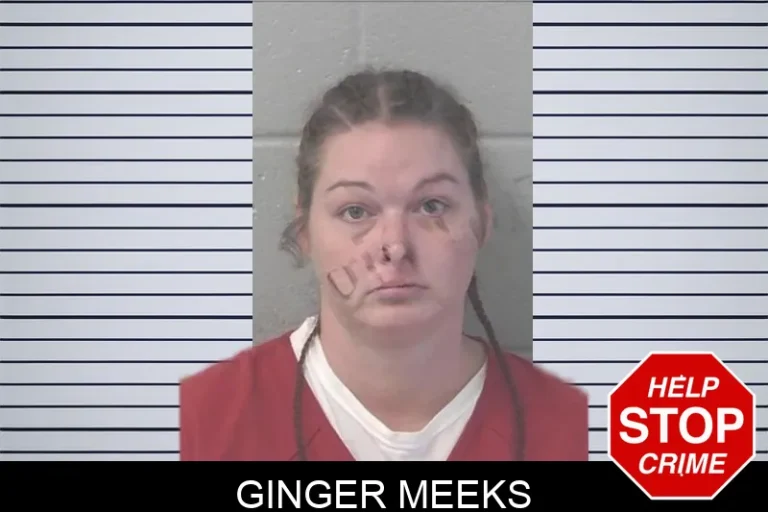Ginger Meeks