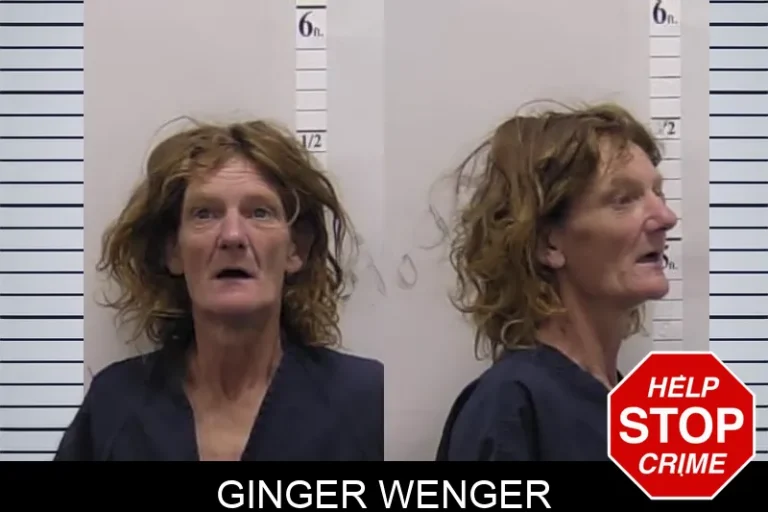 Ginger Wenger mugshot – Clarke County , Georgia Ginger Wenger
