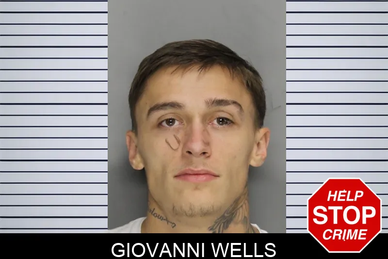 Giovanni Wells Mugshots