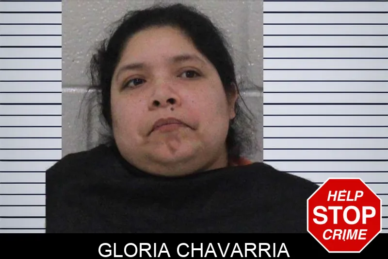 Gloria Chavarria mugshot