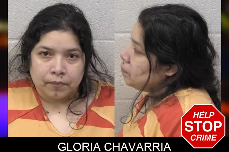 Gloria Chavarria Mugshots