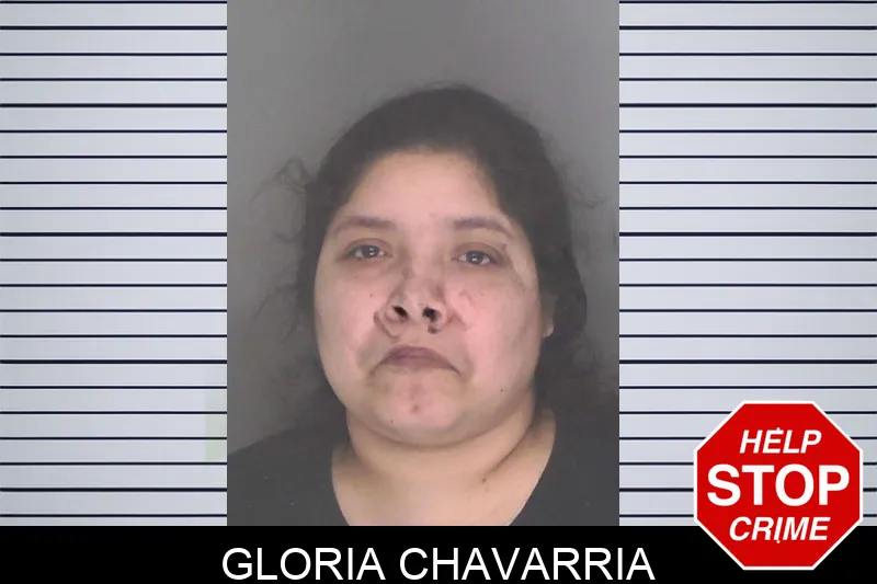 Gloria Chavarria mugshot – Douglas County , Georgia Gloria Chavarria mugshot