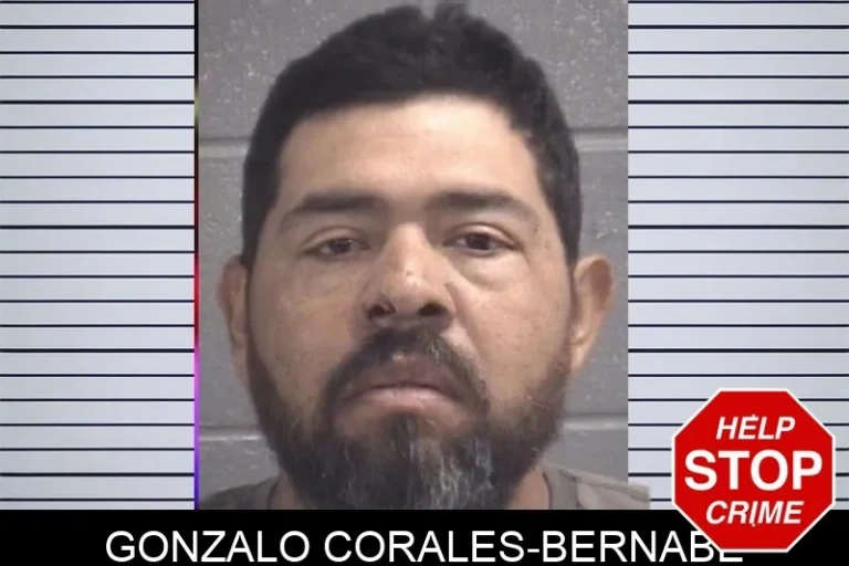 Gonzalo Corales-Bernabe