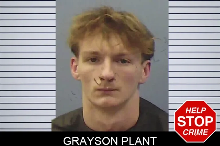 Grayson Plant