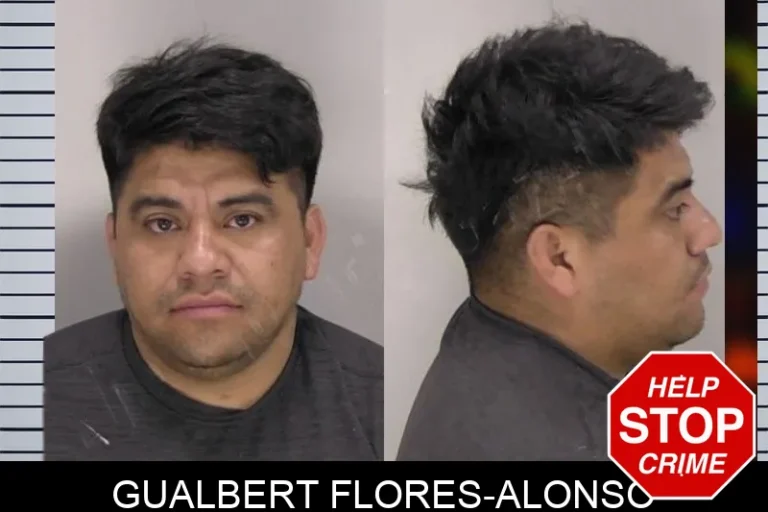 Gualbert Flores-Alonso