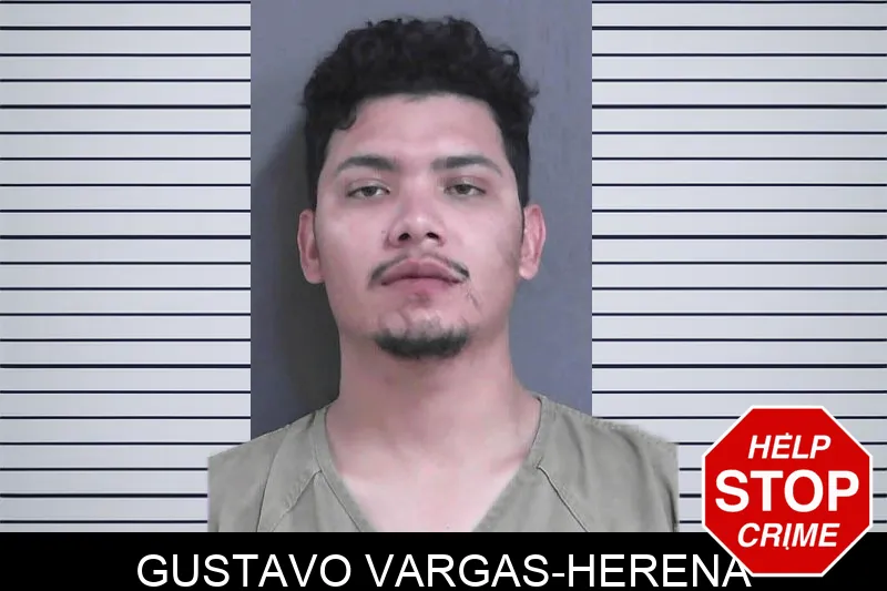 Gustavo Vargas-Herena