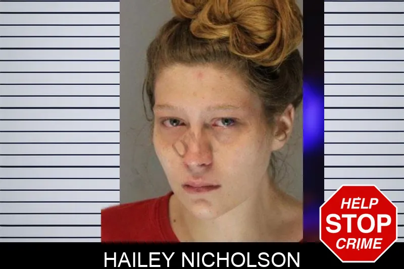 Hailey Nicholson mugshot – Hall County , Georgia Hailey Nicholson mugshot