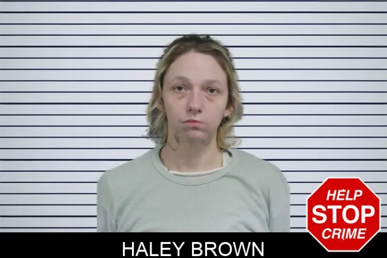 Haley Brown mugshot โ Catoosa County , Georgia Haley Brown