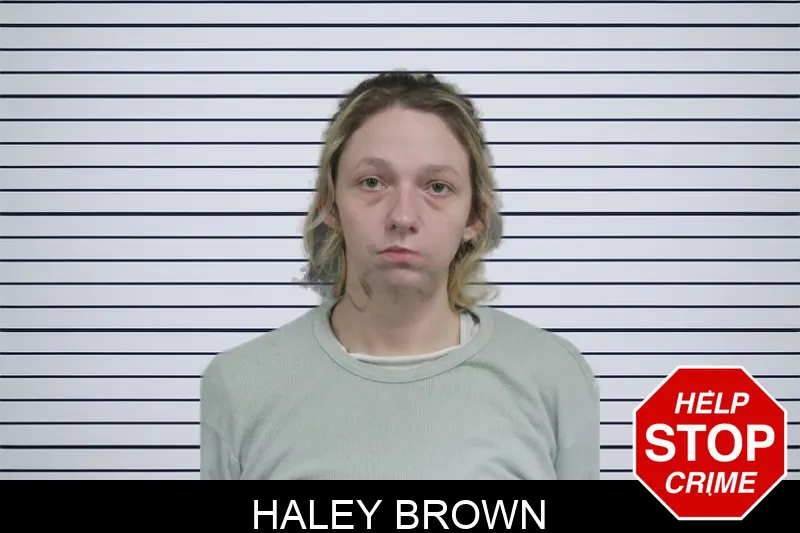 Haley Brown Mugshots