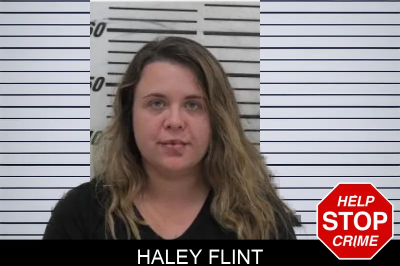 Haley Flint Mugshots