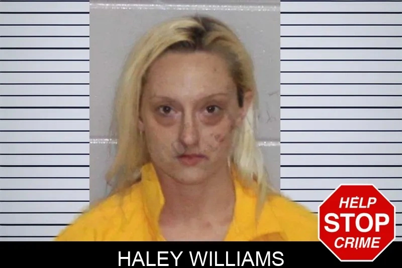 Haley Williams Mugshots