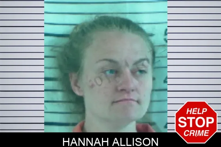 Hannah Allison mugshot – Stephens County , Georgia Hannah Allison