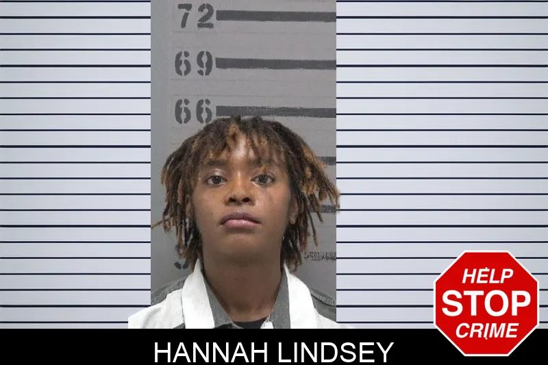 Hannah Lindsey Mugshots