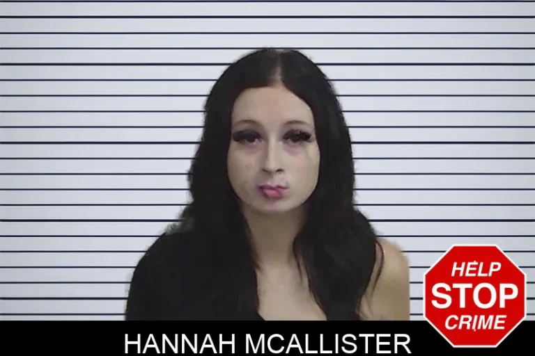 Hannah McAllister mugshot – Wayne County , Georgia Hannah McAllister
