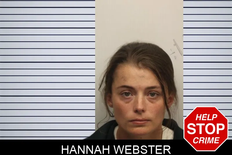 Hannah Webster mugshot