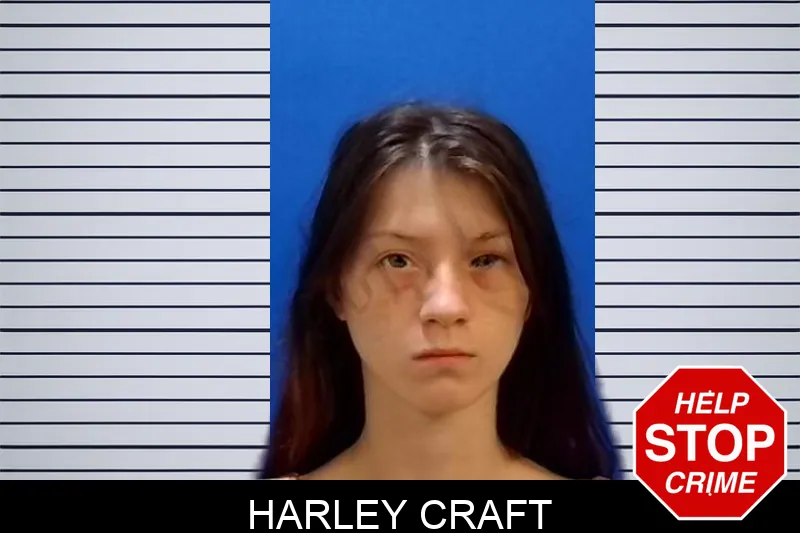 Harley Craft mugshot – Troup County , Georgia Harley Craft mugshot
